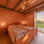 Wildgans Classic 29 度假居
